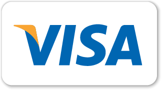 Visa Logo Image